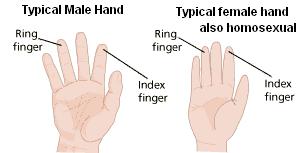 gay male hands diagram