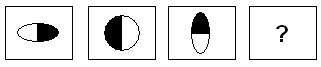 puzzle test